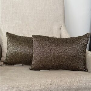 Pottery Barn Shimmering Metallic Cushion